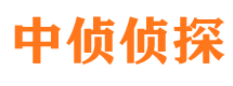 神农架市侦探调查公司